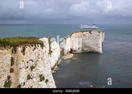 Old Harry Rocks von Ballard unten an der Küste von Dorset, England, Großbritannien Stockfoto