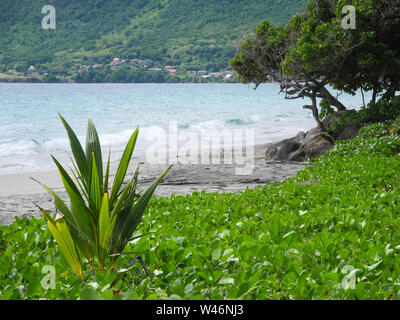 Dominica Insel im Karibischen Meer Stockfoto