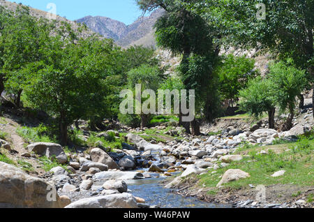 Riverine Wälder und Obstbäumen Obstgärten in der Nuratau Berge, Usbekistan Stockfoto