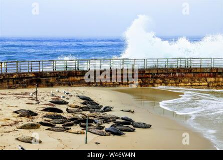 Wellen, die am La Jolla Cove in San Diego, CA Stockfoto