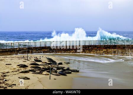 Wellen, die am La Jolla Cove in San Diego, CA Stockfoto