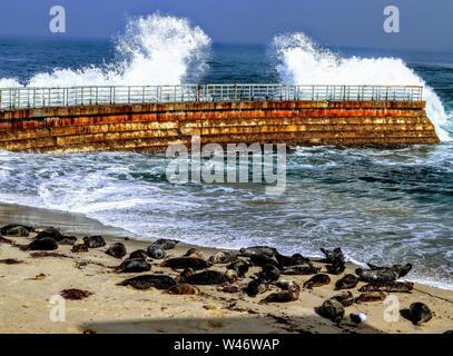 Wellen, die am La Jolla Cove in San Diego, CA Stockfoto