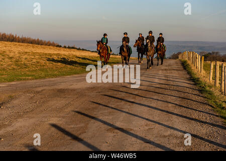 Jockeys übung Rennen Pferde auf Middleham galoppiert in North Yorkshire Stockfoto