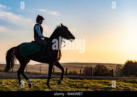 Jockeys übung Rennen Pferde auf Middleham galoppiert in North Yorkshire Stockfoto
