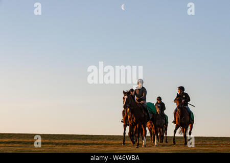 Jockeys übung Rennen Pferde auf Middleham galoppiert in North Yorkshire Stockfoto