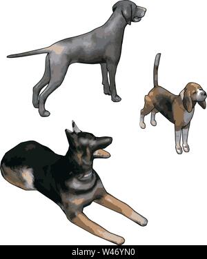 3D-Modelle von Hunden, Illustration, Vektor auf weißem Hintergrund. Stock Vektor