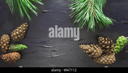 Ein schwarzer Hintergrund mit einem Motiv. Kegel und Nadeln von einem Baum. Hintergrund für die Speisekarte im Restaurant, Pub. Stockfoto