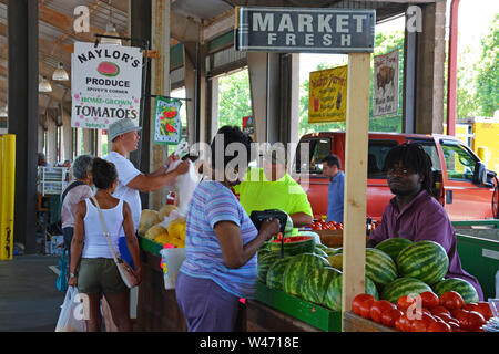 Kunden schauen Sie über lokal angebauten Wassermelonen auf der North Carolina Farmers Market in Raleigh. Stockfoto