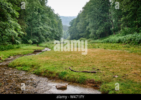 Ein Bach durch eine idyllische grüne Tal mit Wiesen und Wald in Deutschland fließt Stockfoto