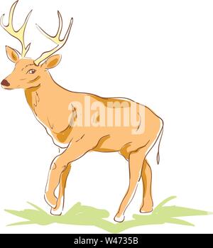Schönen Hirsch, Illustration, Vektor auf weißem Hintergrund. Stock Vektor