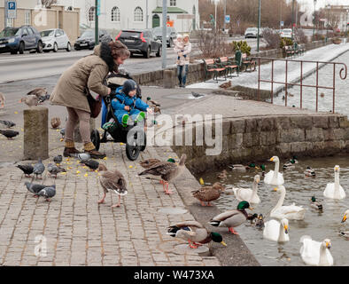 REYKJAVIK, Island Schwäne, Enten, Gänse und andere wildvogel zugeführt wird auf See Tjornin Stockfoto