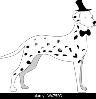 Dalmatiner Hund, Illustration, Vektor auf weißem Hintergrund. Stock Vektor