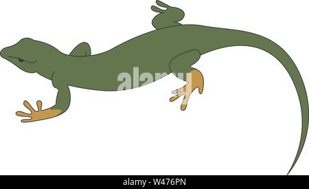 Grüne Eidechse, Illustration, Vektor auf weißem Hintergrund. Stock Vektor