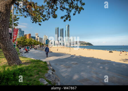 BUSAN, Südkorea - Juni 9, 2019: gerahmte Blick auf den Haeundae Beach, auf einem sonnigen Sommer am späten Nachmittag Stockfoto