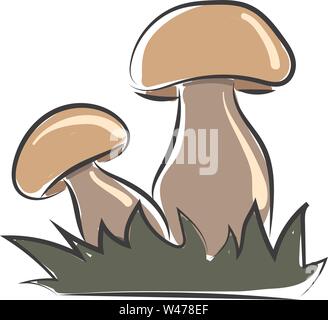 Pilz in Gras, Illustration, Vektor auf weißem Hintergrund. Stock Vektor