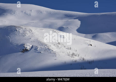 Arktische Tundra im Winter, Tromso, Norwegen Stockfoto