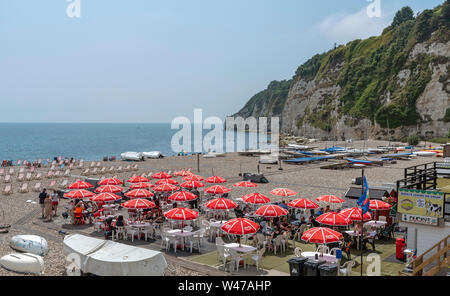 Bier in der Nähe von Seaton, Devon, England, UK. Juni 2019. Bier Strand an der Jurassic Coast in East Devon. Der Strand von Bier mit weißen Kreidefelsen. Stockfoto