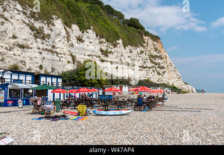 Bier in der Nähe von Seaton, Devon, England, UK. Juni 2019. Bier Strand an der Jurassic Coast in East Devon. Der Strand von Bier mit weißen Kreidefelsen. Stockfoto