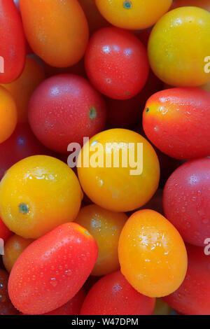 Vielzahl von heirloom Tomaten zusammen gruppiert Stockfoto