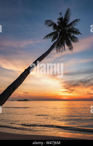 Palmen und Sonnenuntergang Himmel Hintergrund. Tropischer Urlaub Konzept, kopieren Raum Stockfoto