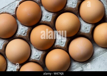 Braun huhn eier in einem Ei Karton mit einem diagonal schräg Ansicht dargestellt, nach unten. Eier sind eine gute Quelle von Protein und in vielen Gerichten verwendet. Stockfoto