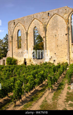 Die Große Mauer bei Saint Emilion, Überrest der Dominikanischen Kloster, Aquitaine, Frankreich Stockfoto