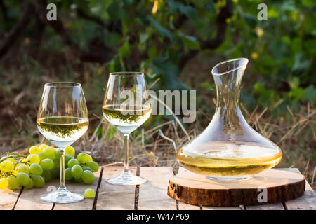 Jungen weißen Wein auf Natur Hintergrund, Dekanter und weiße Trauben, Italien Stockfoto