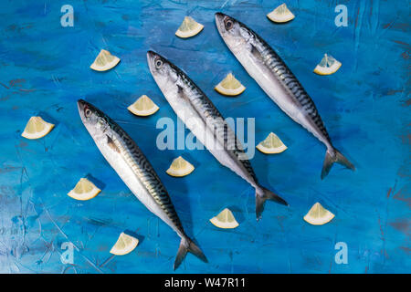 Drei rohe frische Makrele Fisch mit Zitrone auf auf einem blauen Meer Hintergrund, Ansicht von oben. Fisch gefangen im Ionischen Meer Stockfoto
