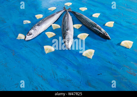 Drei rohe frische Makrele Fisch mit Zitrone auf auf einem blauen Meer Hintergrund. Fisch gefangen im Ionischen Meer Stockfoto