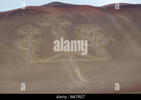 Paracas Kandelaber Geoglyph im Süden Perus Stockfoto