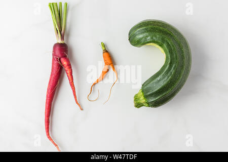 Trendy hässlich Bio Karotten und Zucchini vom Haus Garten auf weißem Marmortisch. oben flach Stockfoto