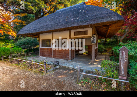 Koishikawa-Korakuen ist ein siebzehnten Jahrhundert Japanses Garten in Koishikawa, Bunkyo, Tokio, Region Kanto, Insel Honshu, Japan Stockfoto