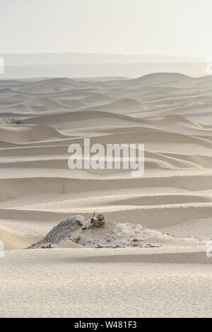 Nebelige Morgendämmerung wegen sich verschiebenden Sanddünen - Taklamakan Desert-Hotan Präfektur-Xinjiang Uyghur Region-China-0342 Stockfoto