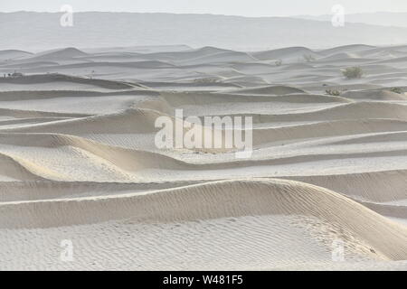 Nebeliges Licht der Morgendämmerung über sich verschiebenden Sanddünen. Taklamakan Desert-Xinjiang-China-0344 Stockfoto