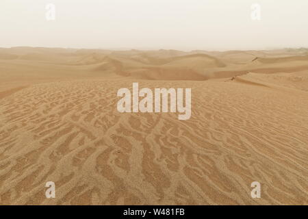 Nebeliges Licht am Morgen über sich verschiebenden Sanddünen. Taklamakan Desert-Xinjiang-China-0356 Stockfoto