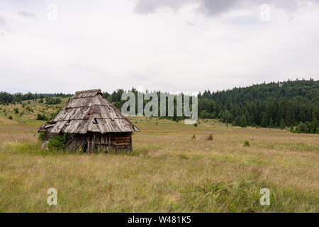 Ländliche Holzhütte alten, verlassenen und Pinien Wald Landschaft mit bewölktem Himmel Stockfoto