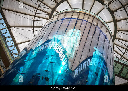 Radisson mit einem 25 Meter hohen Aquarium in einem Atrium Lobby, das stilvolle Hotel an der Spree liegt einen 10-minütigen Spaziergang vom Pergamonmuseum. Stockfoto