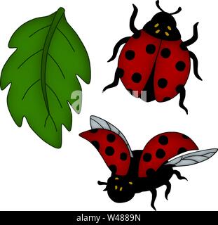 Süße Marienkäfer Vector Farbe Cartoon Lady Bug Abbildung Stock Vektor