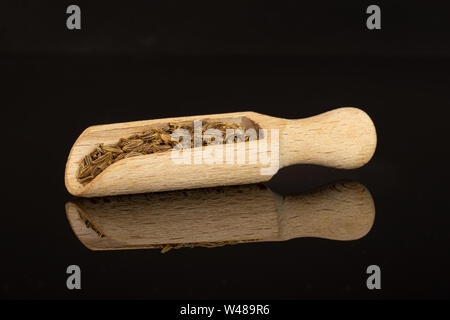 Menge ganze trocknen Kümmel Früchte mit Holz- Schaufel auf schwarz Glas isoliert Stockfoto