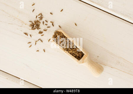 Menge ganze trocknen Kümmel Früchte mit Holz- schaufel flatlay auf weißem Holz Stockfoto