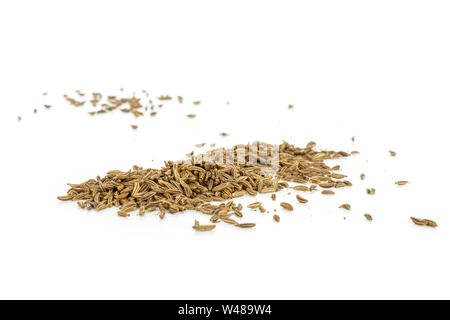Menge ganze trocknen Kümmel Früchte closeup auf weißem Hintergrund Stockfoto