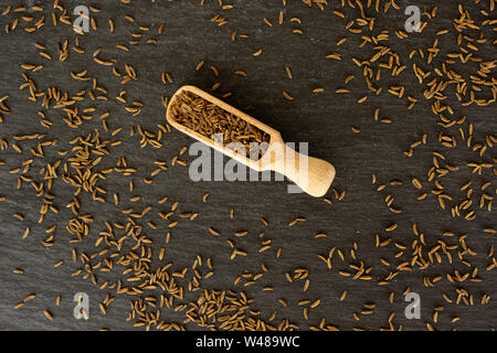 Menge ganze trocknen Kümmel Früchte mit Holz- schaufel flatlay am grauen Stein Stockfoto