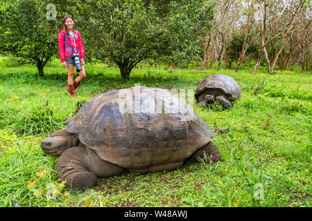 Galapagos Riesenschildkröte und Frau Tourist auf der Insel Santa Cruz in Galapagos Inseln. Tiere, Natur und Wildlife Photo in der Nähe der Schildkröte im Hochland von Galapagos, Ecuador, Südamerika. Stockfoto