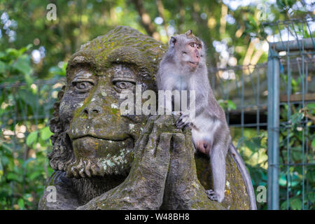 Porträt eines Affen auf einem Stein Skulptur eines Affen am Heiligen Affenwald in Ubud sitzen, Insel Bali, Indonesien. Nahaufnahme Stockfoto