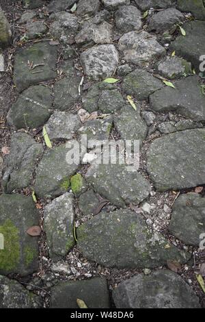 Moosige Oberfläche der Steinboden, Straße im Dschungel Stockfoto