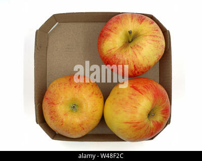 Blick von oben auf die drei roten Apple im Karton auf weißem Hintergrund Stockfoto
