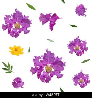 Nahtlose Muster von crape Myrtle und Kosmos Blume bunte realistische Blume auf weißem Hintergrund, Vektor illustratiom. Stock Vektor