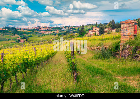 Erstaunlich Traube Zeilen und grünen Weinbergen. Landwirtschaftliche Fläche mit Trauben und Bauernhäuser. Toskana Stadtbild mit Panzano in Chianti Stadt auf dem Hügel, Ital Stockfoto