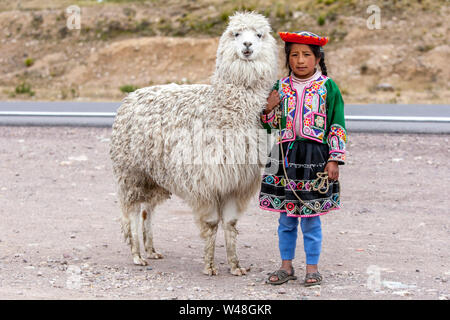 Eine Peruanische stehendes Mädchen am Straßenrand halten ein Lama im La Region Puno Les Desea Feliz Viaje in Peru. Stockfoto