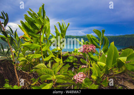 Blick über 'Lagoa das Sete Cidades', Sao Miguel, Azoren, Portugal Stockfoto